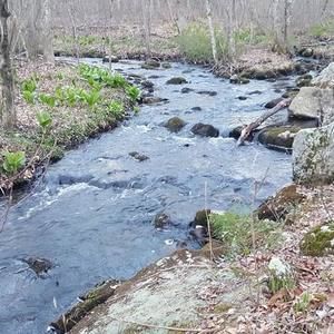 Meet your Posher, Kerri